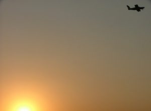 Read more about the article Delivery Driver Jobs Near Me Led To The Airline Industry