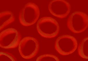 Read more about the article Red Blood Cell Count Of Pilots