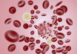 Read more about the article Red Blood Cells And Altitude Effects