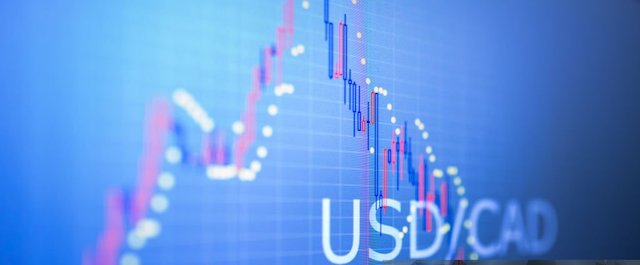 Read more about the article US Dollar To Canadian Dollar