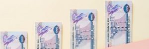 Read more about the article Travel Costs When Exchanging 1 Dirham