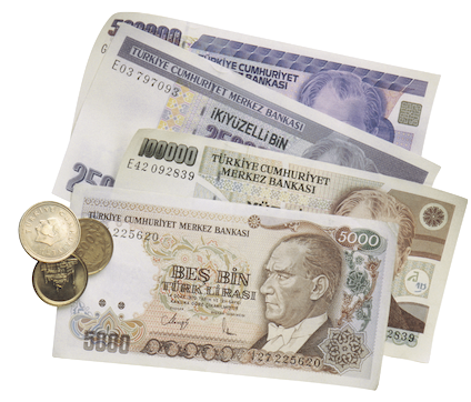 Read more about the article USD To Turkish Lira Rate Today