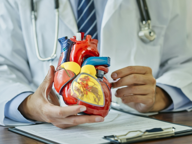 Read more about the article Effects Of Aerospace Environments On Circulatory System
