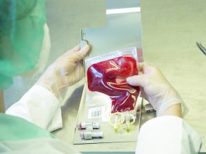 Read more about the article Blood Serum And The Health Of Airline Pilots