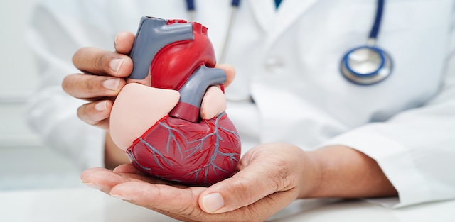 Read more about the article Parts Of Heart Affected In Astronauts