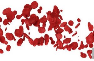 Read more about the article Blood Serum Altered By Flight Conditions